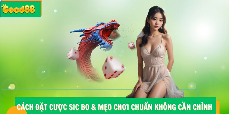 Cách Đặt Cược Sic Bo - Học Mẹo Good88 Chuẩn Không Cần Chỉnh 4 Cách Đặt Cược Sic Bo – Học Mẹo Chơi Chuẩn Không Cần Chỉnh